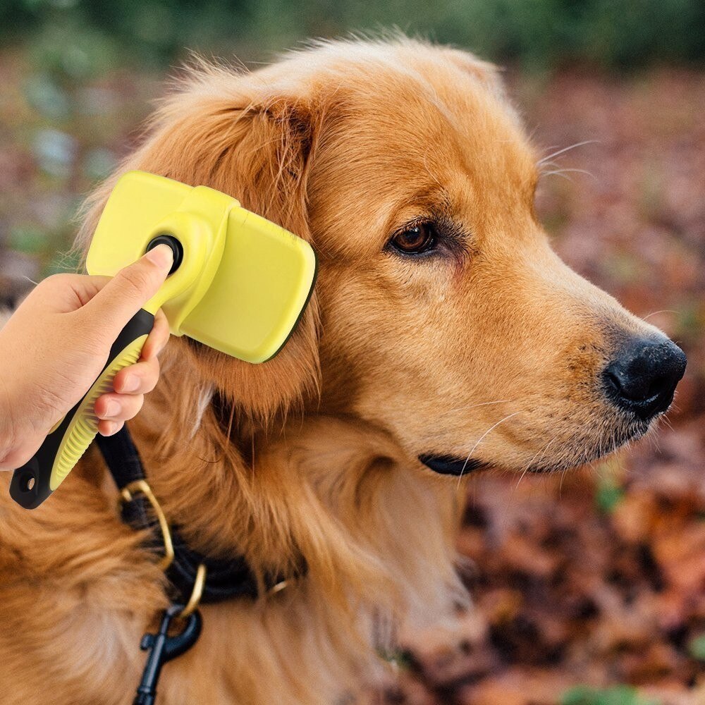 Cepillo Autolimpiante para Perros y Gatos